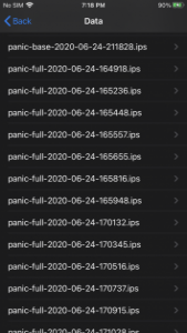 Panic.ips